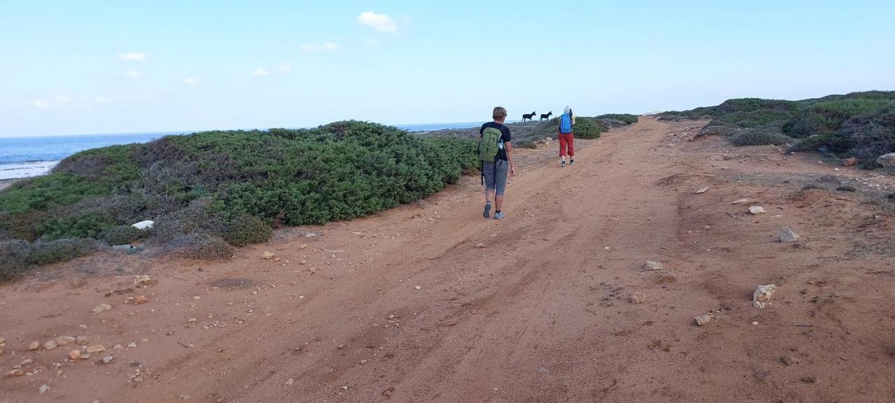 La Medusa Gardens Iskele District  Bagian luar foto