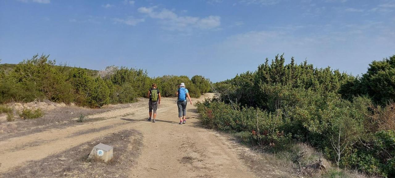 La Medusa Gardens Iskele District  Bagian luar foto