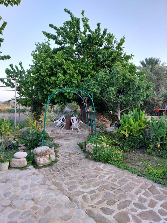La Medusa Gardens Iskele District  Bagian luar foto